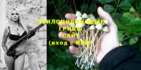 ECSTASY Алзамай