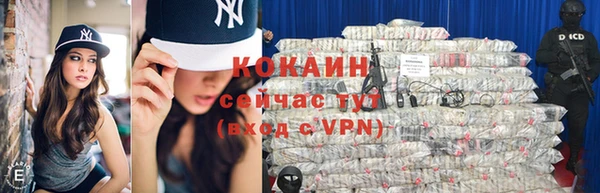 ECSTASY Алзамай