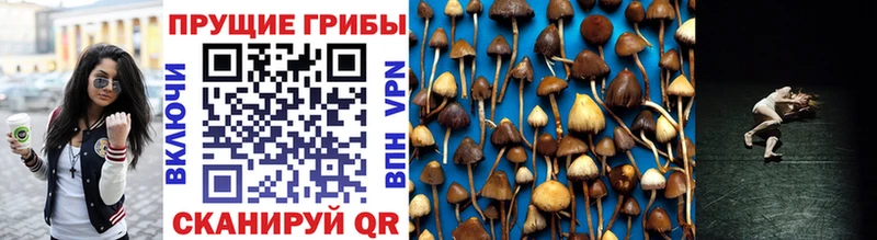Псилоцибиновые грибы мухоморы  Бобров 